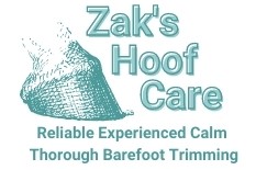 Zak's Hoof Care Reliable, experienced, calm and thorough barefoot trimming