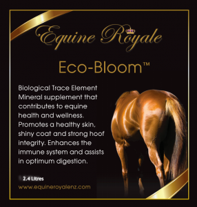 Eco-Bloom Promotes a healthy shiny coat and strong hoof integrity in horses. Enhances the horse’s immune systems and assists in optimum digestion